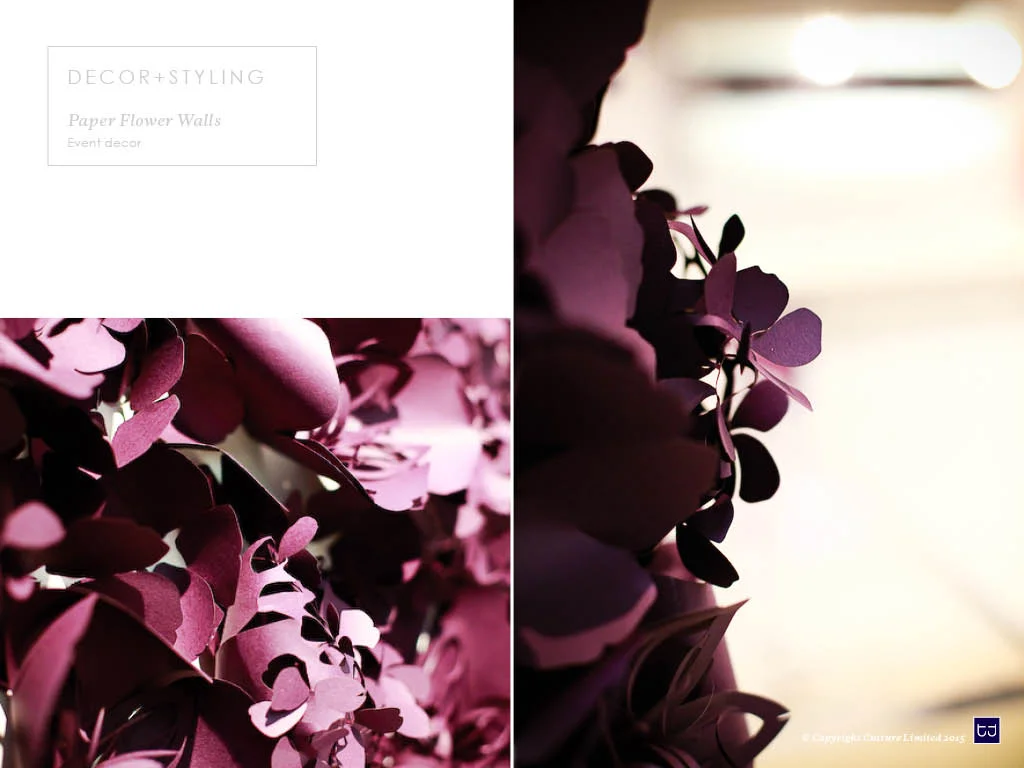Cutture Canape Trays and Event Styling 201525.jpg