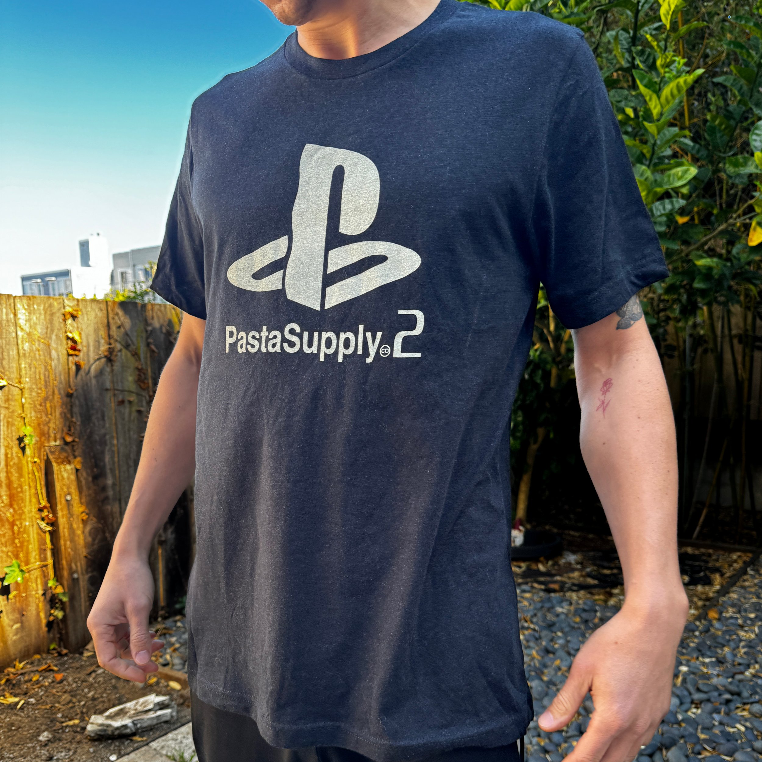 ps2-lifestyle.jpg