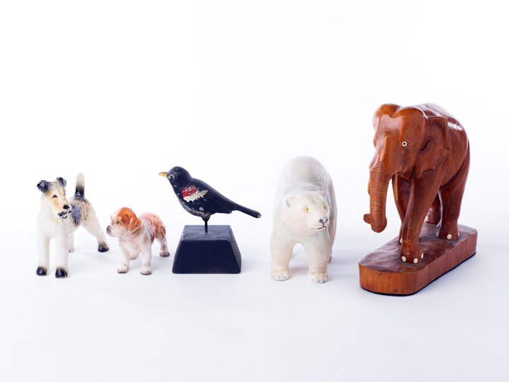 animals_014.jpg