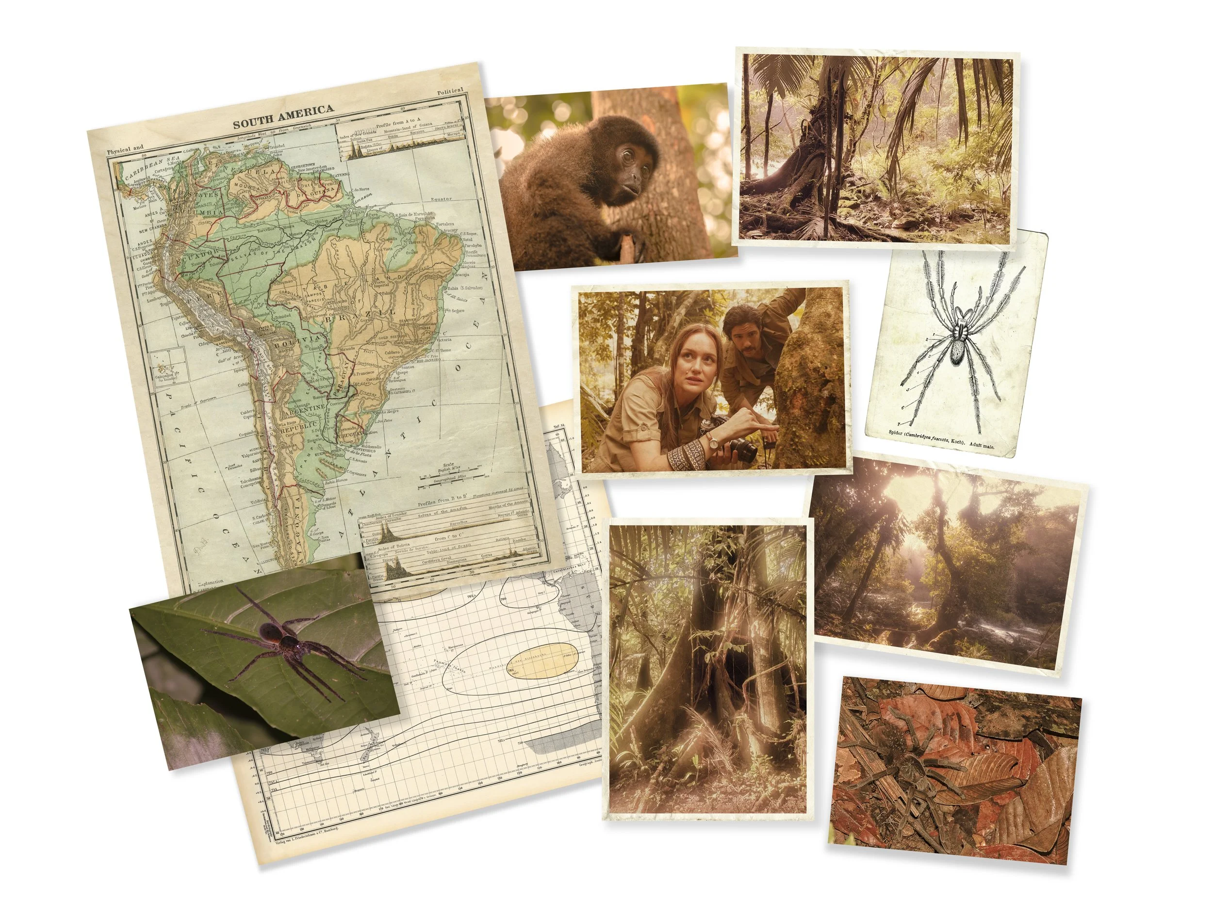 maps_photos.jpg