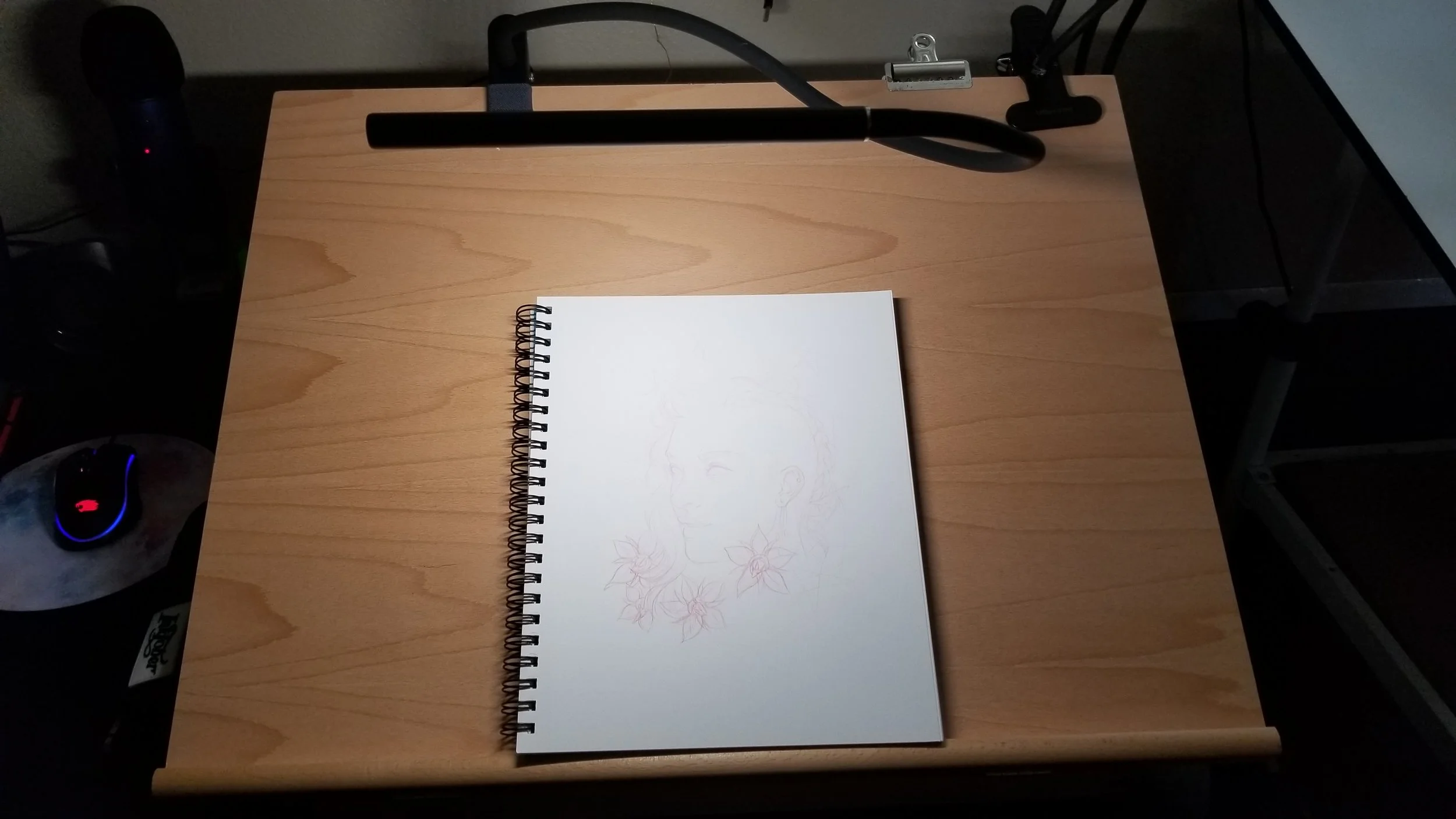 20190722_155152.jpg