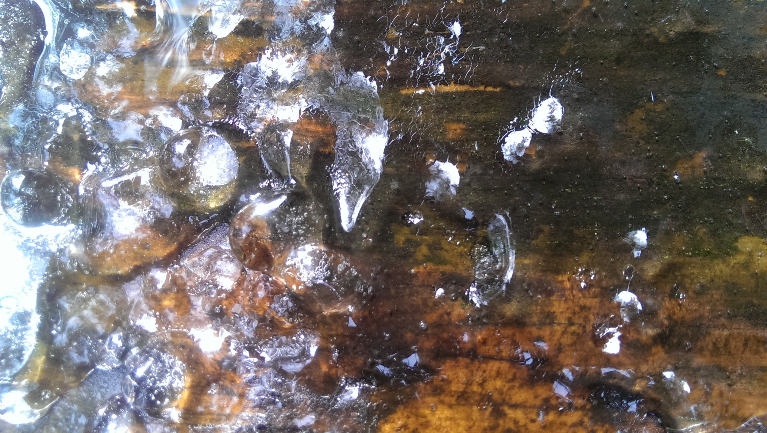 iced wood.jpg