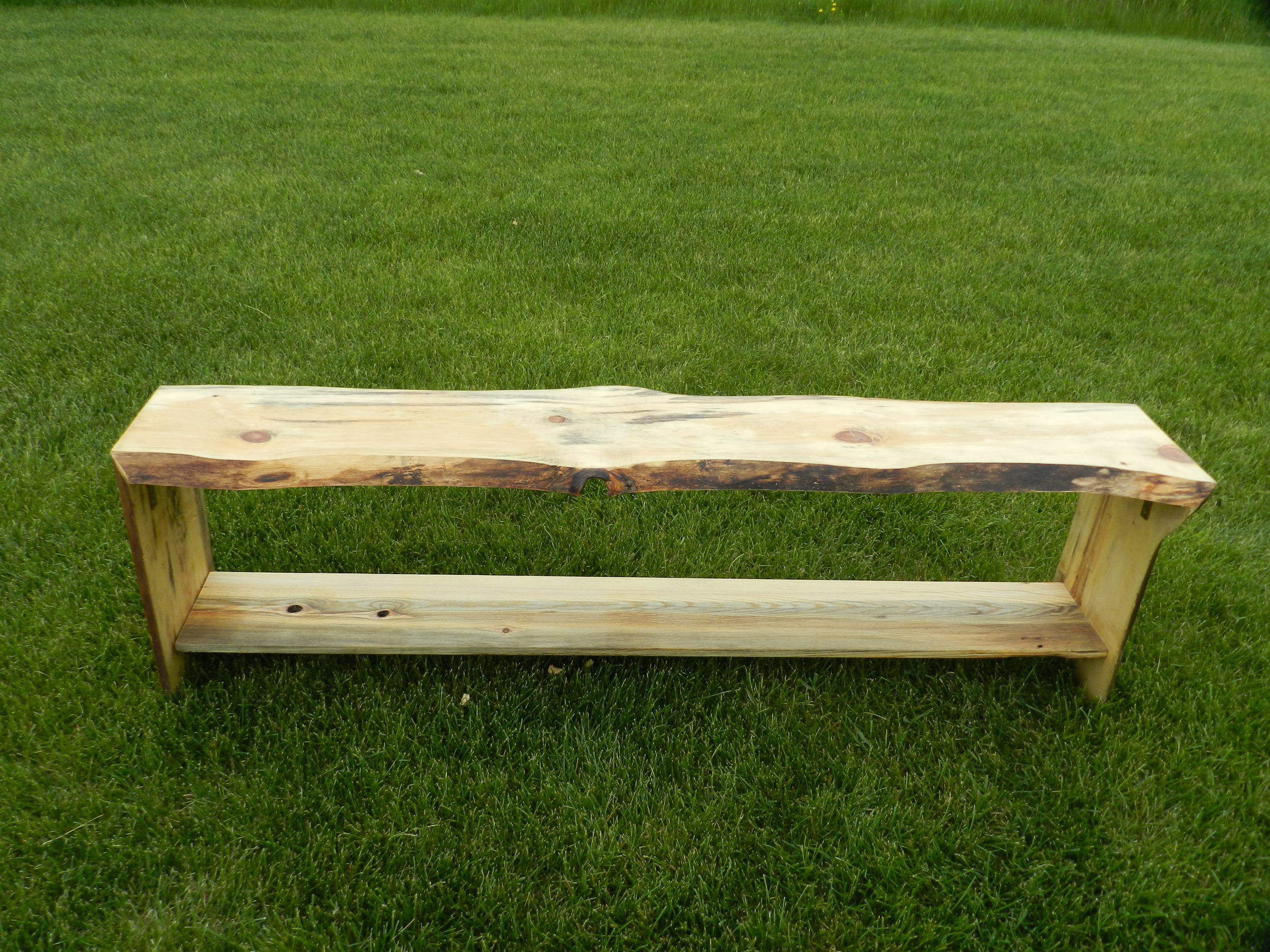 Beetle Kill Bench