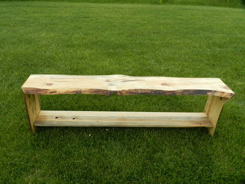 Live Edge Beetle Kill Bench
