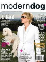 moder dog (spring 2008) April showers bring May rainbows. Check out bentley B's rainbow beatles tee featured on page 39.