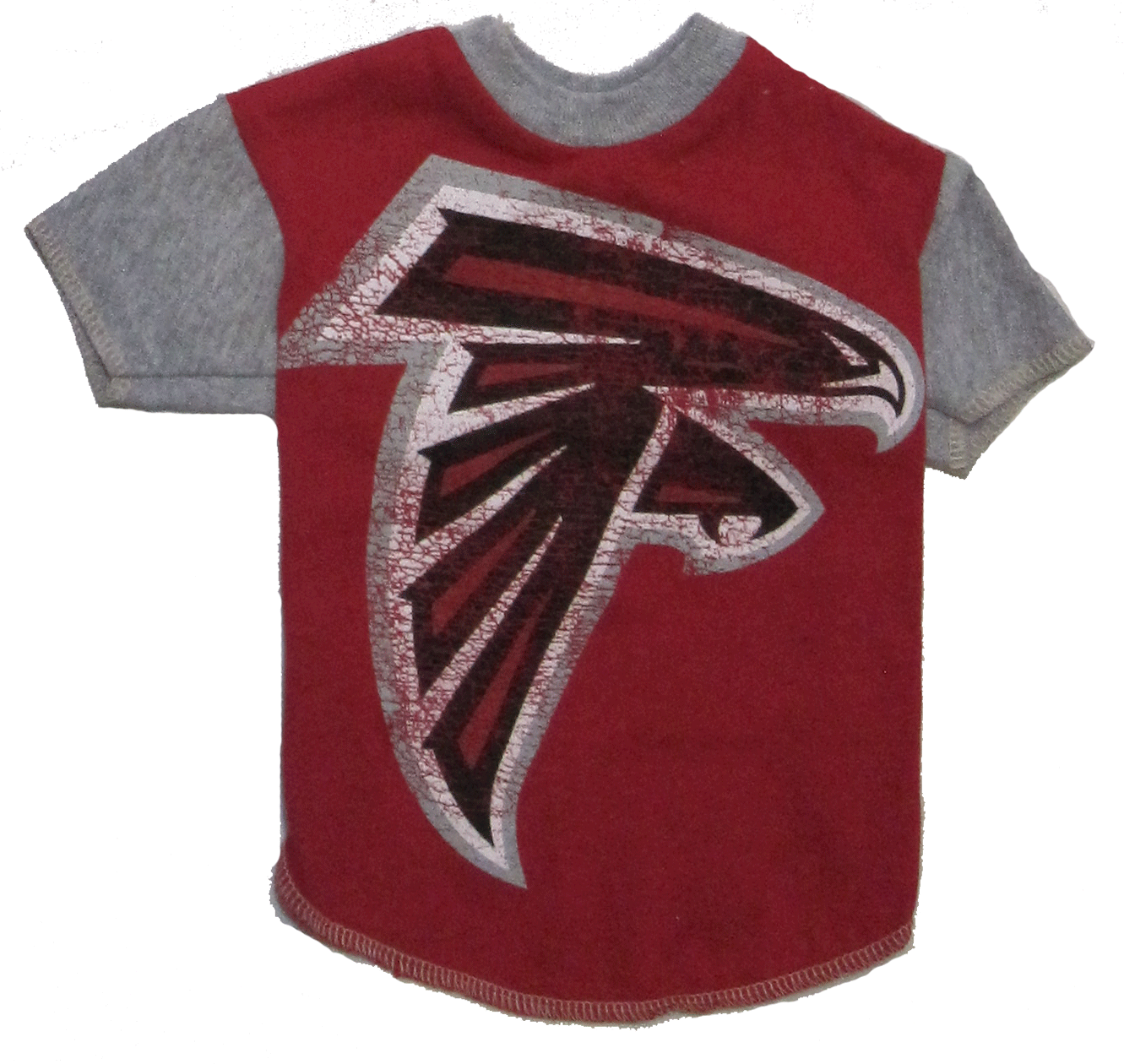 falcons-m.gif