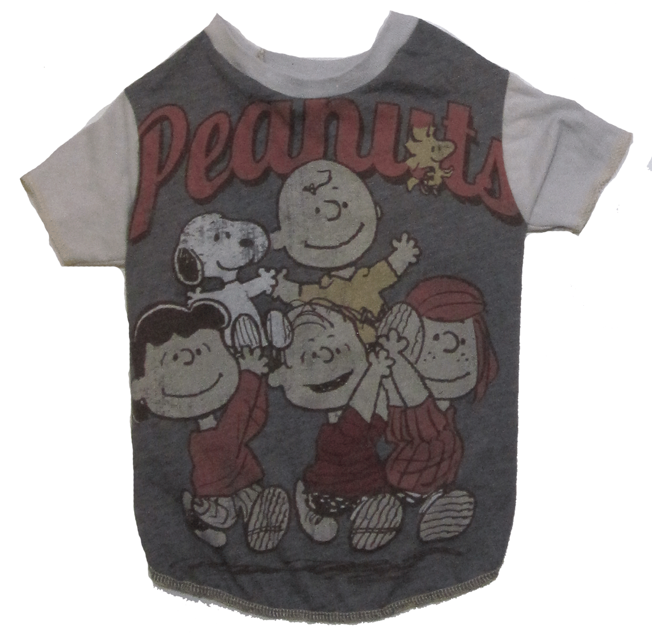 Peanuts-gang-l.gif