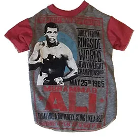 Boxing xlarge.jpg