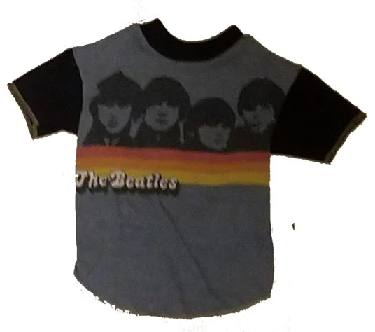medium rainbow beatles.jpg