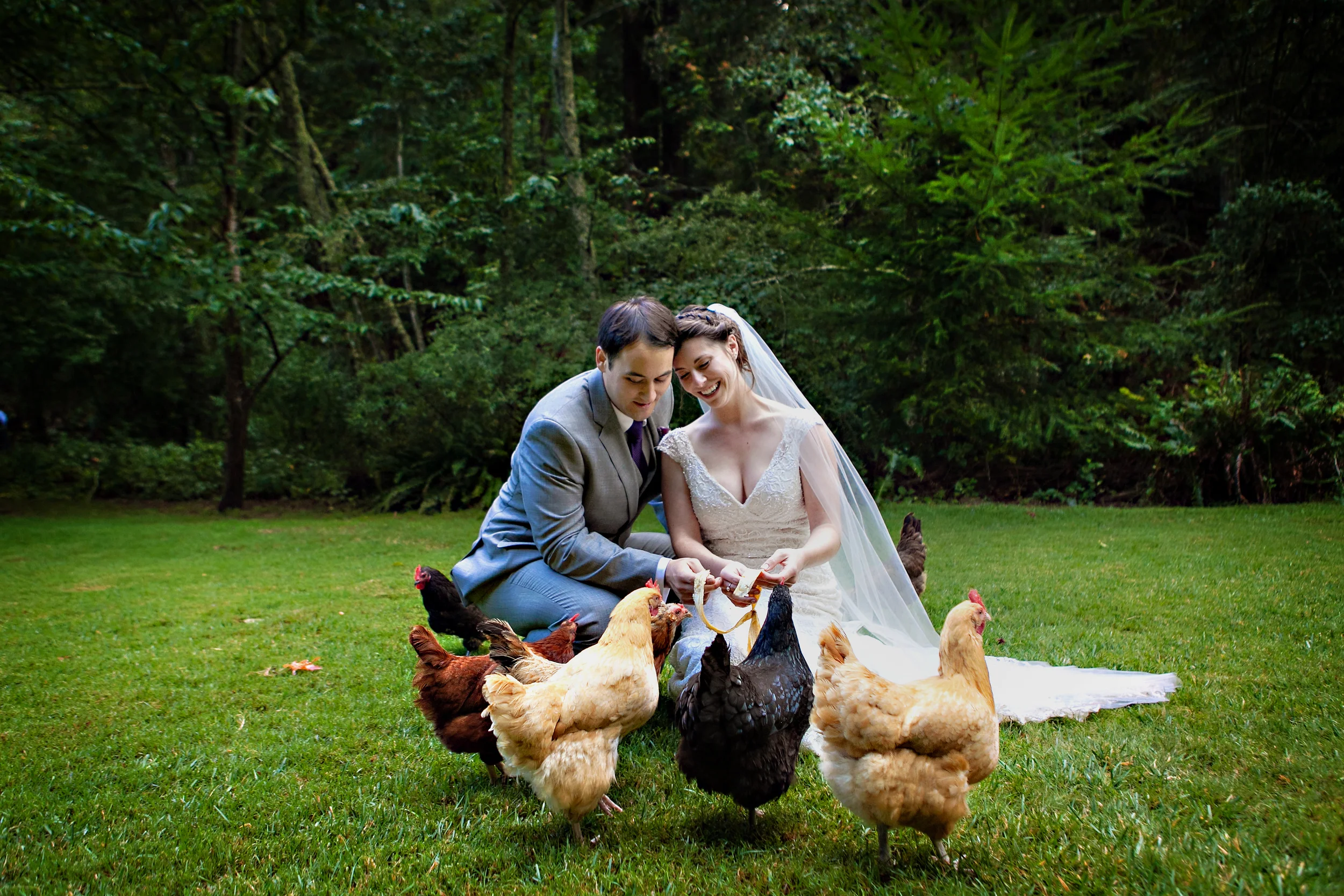 Laurel Mill Lodge Wedding
