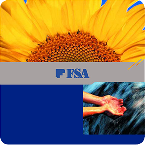FSA Annual Reports