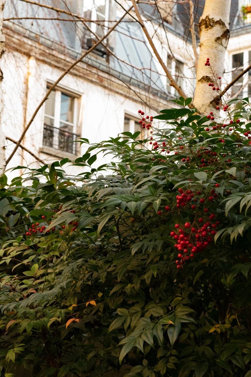 paris-24.jpg