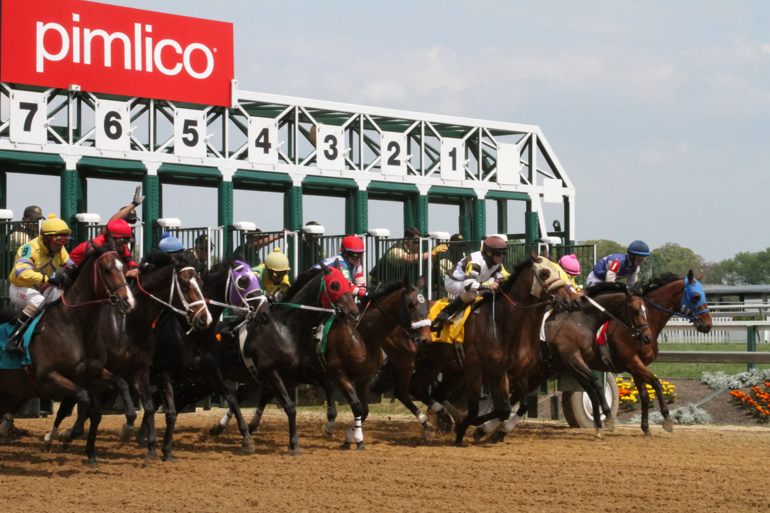 Decanter Wine Festival