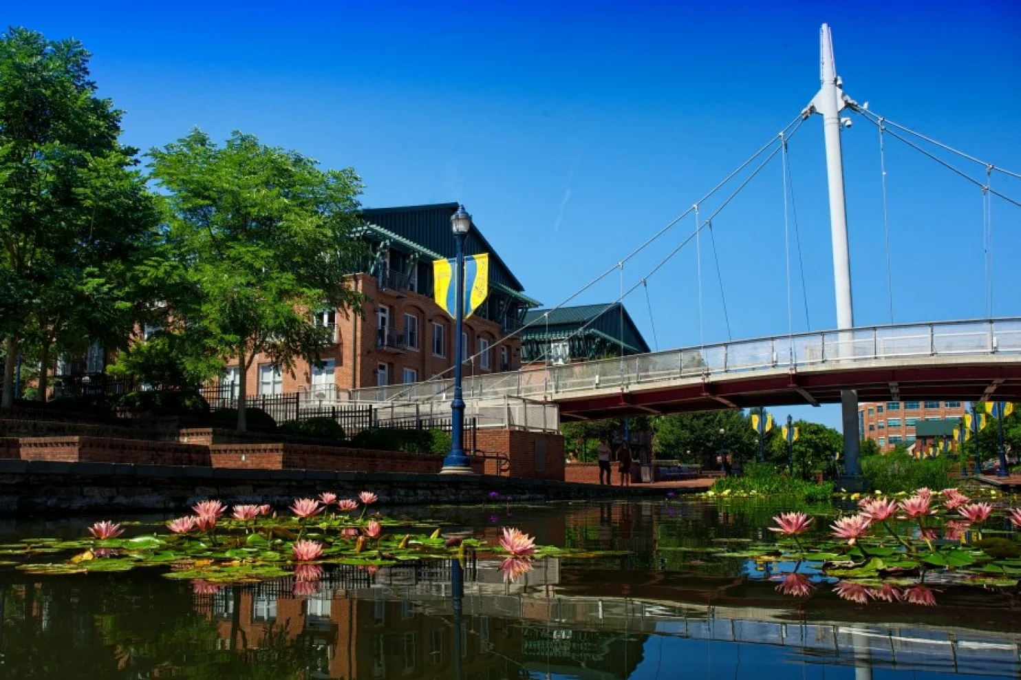 Carroll Creek Farmers' Market
