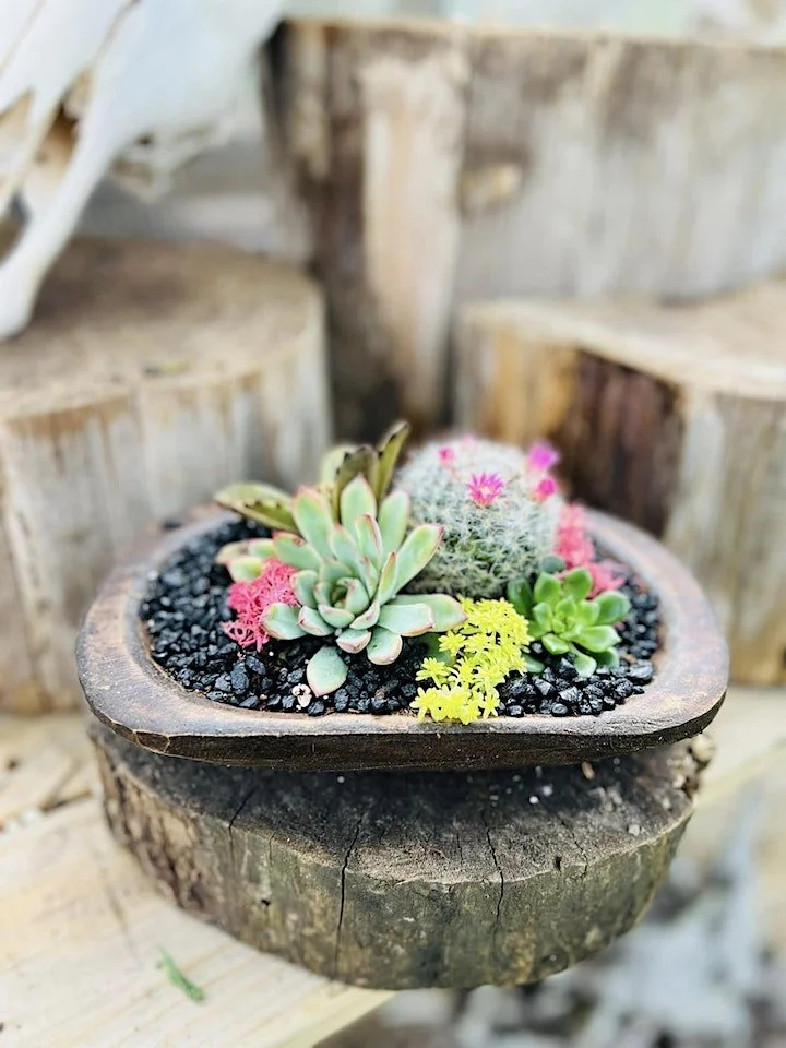 Build a Succulent Bread Bowl