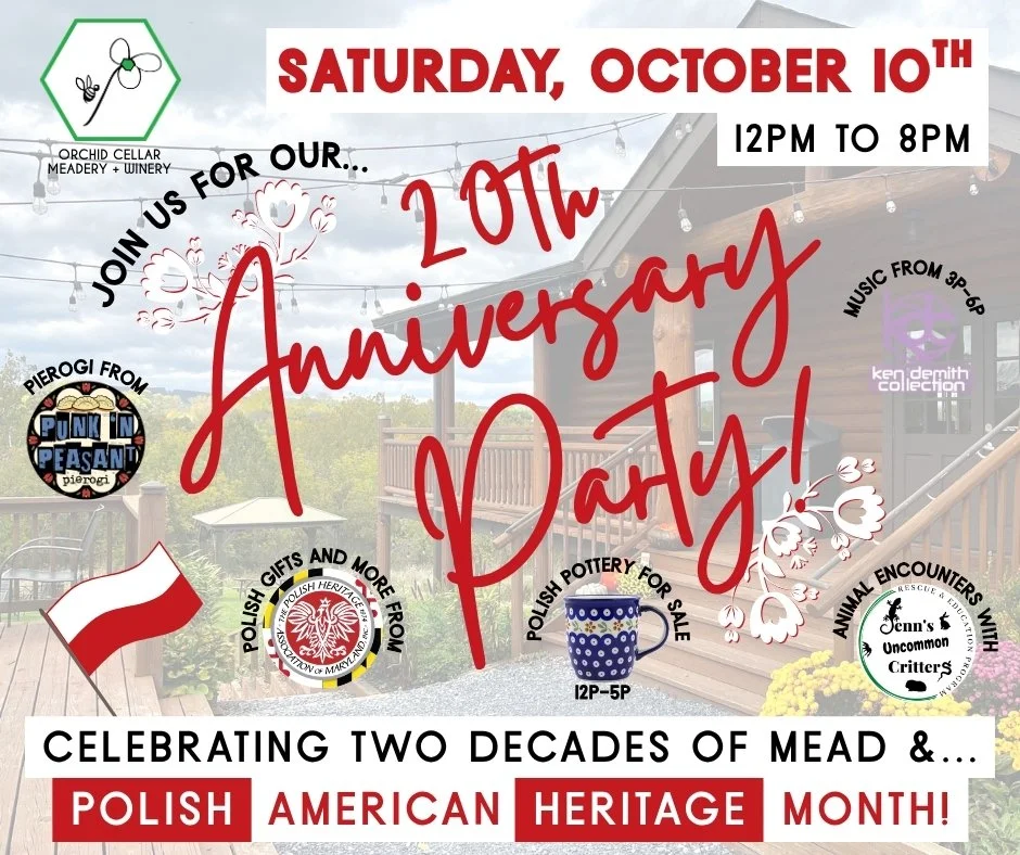 20th Anniversary Party!