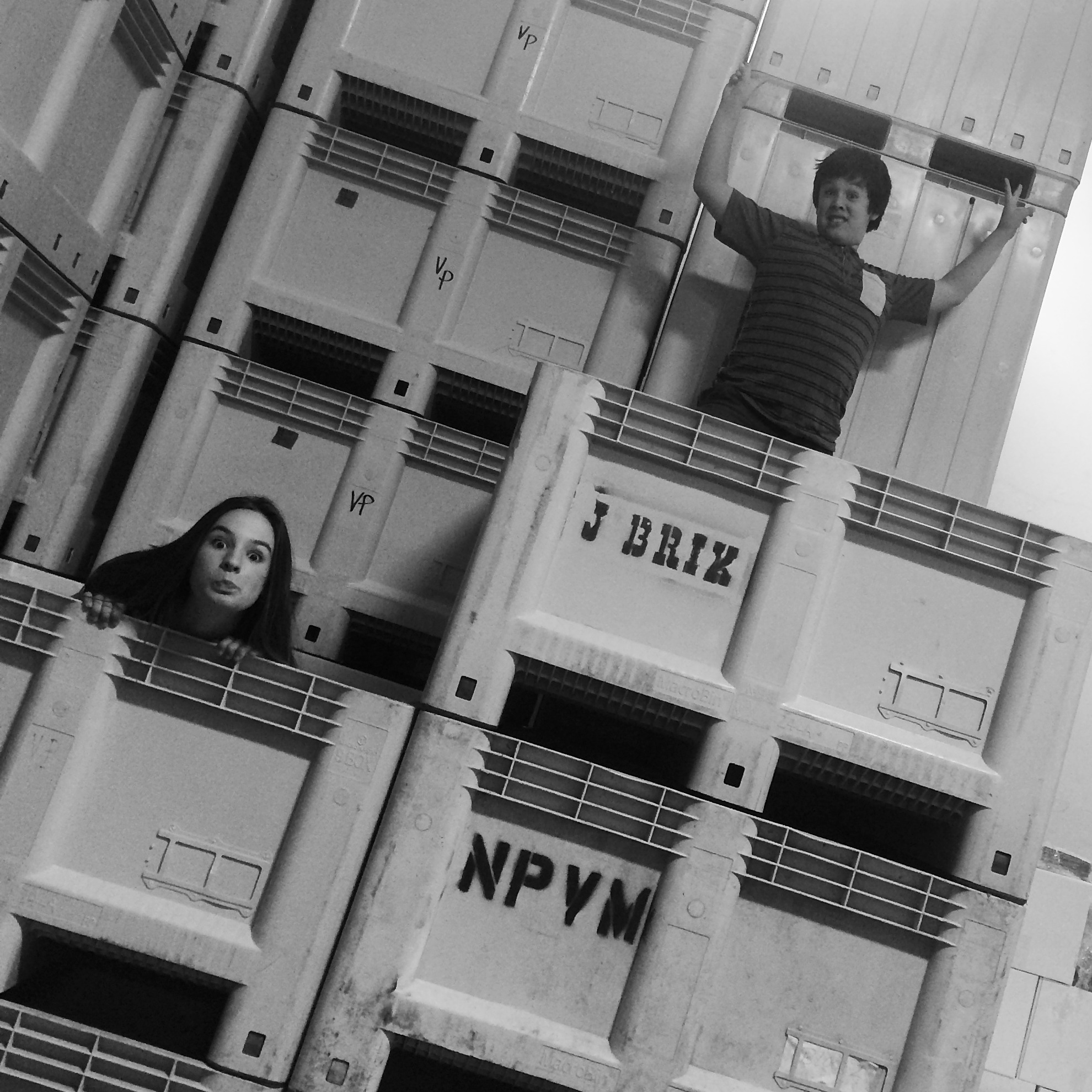 Winemakers' 2 kids in picking bins