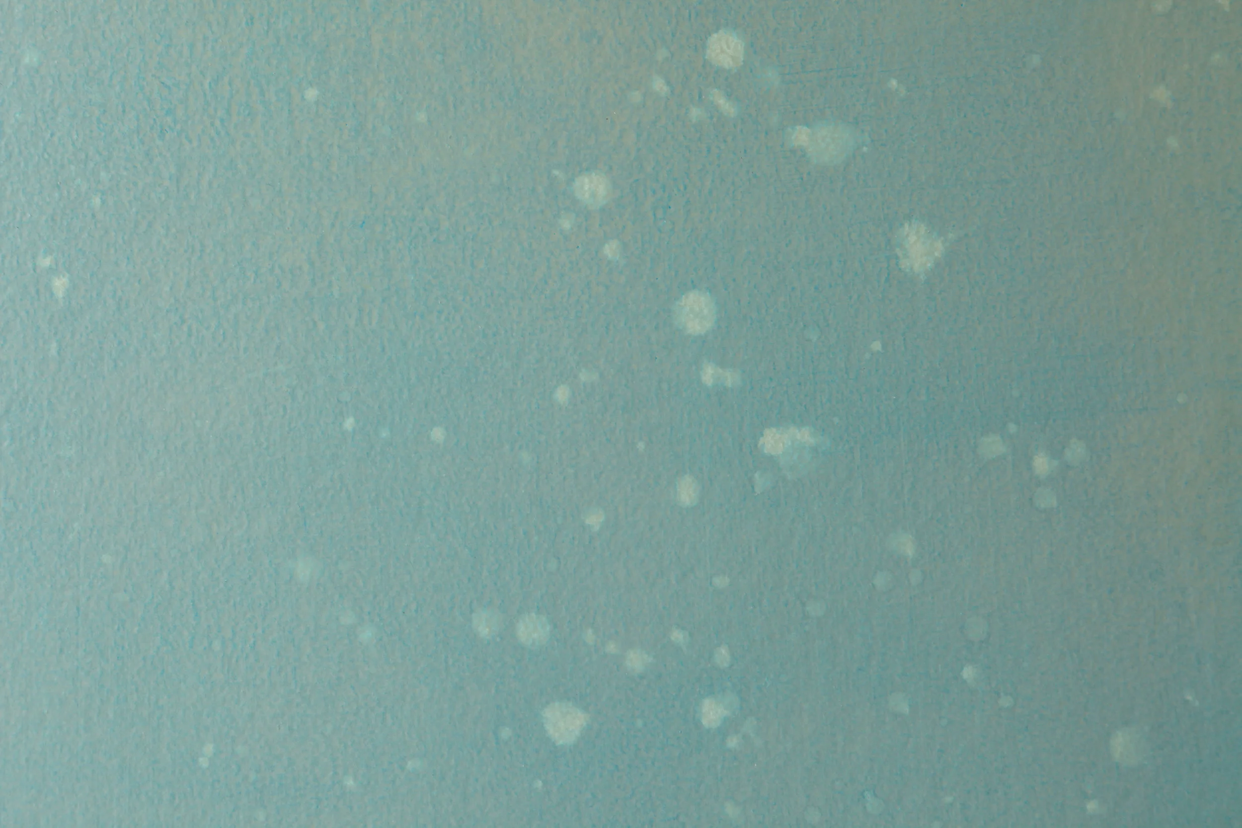 IMMERSION_SIMMER SEA_DETAIL_SM.jpg