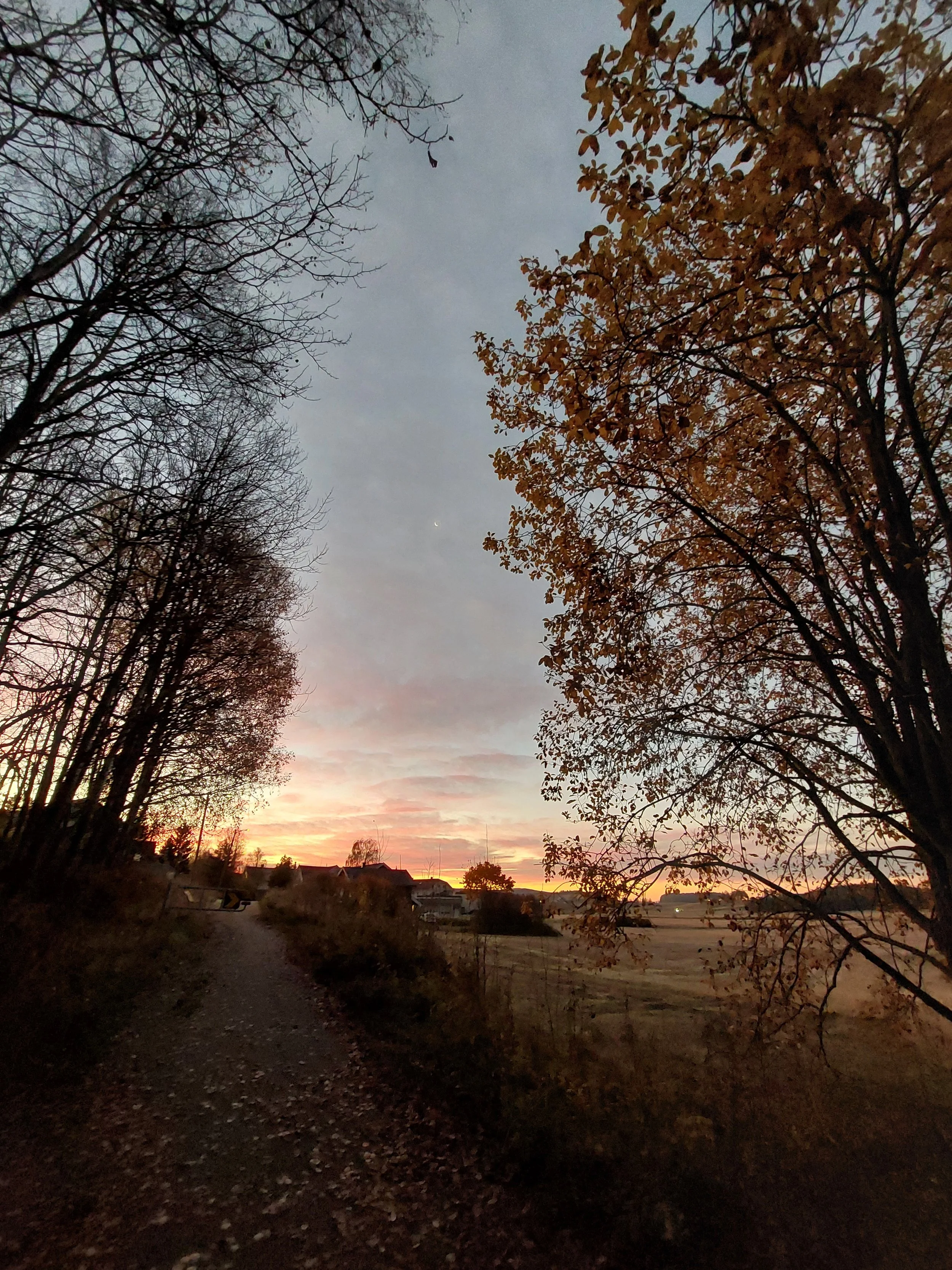 20251016_073043.jpg