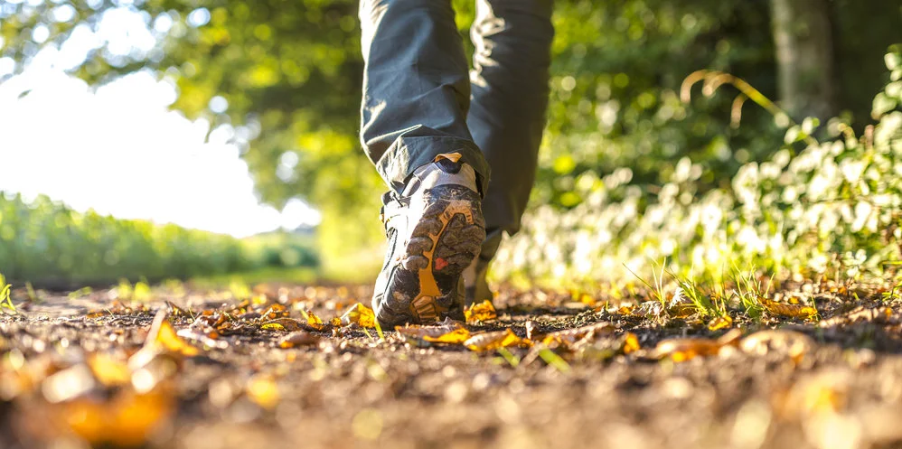 walking on path.jpg