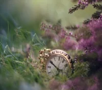 time_forgotten-wallpaper-10519463.jpg