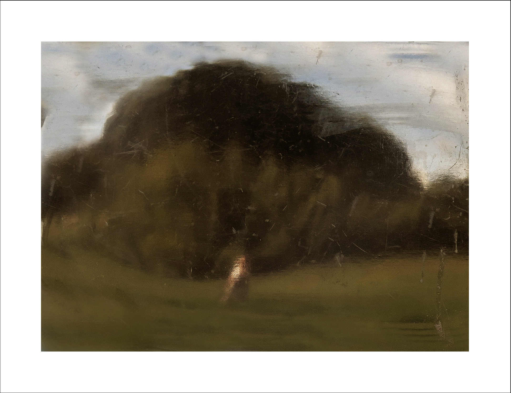 paisagem3_PRINT.jpg