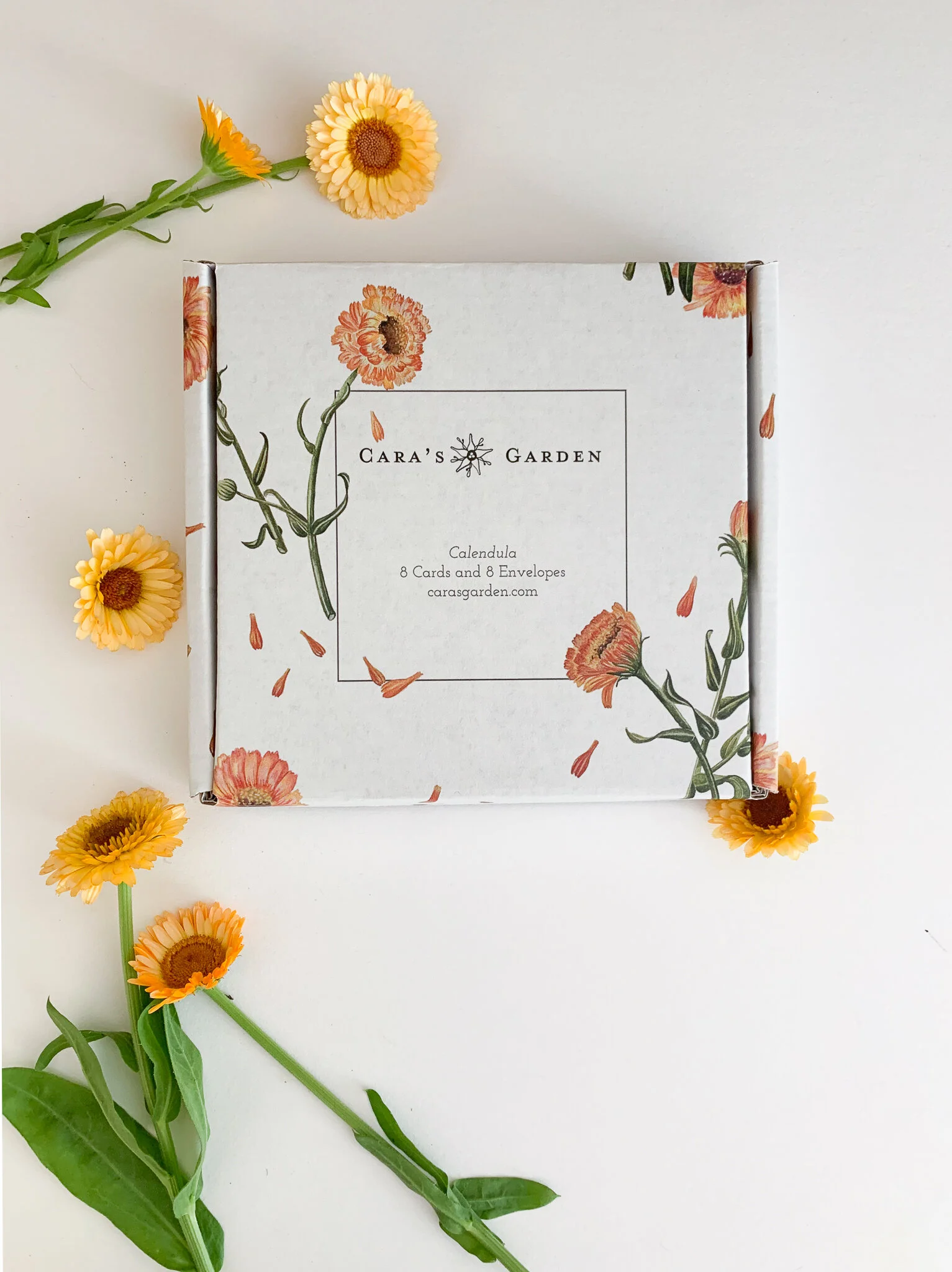 Notecard_calendula-3.jpg