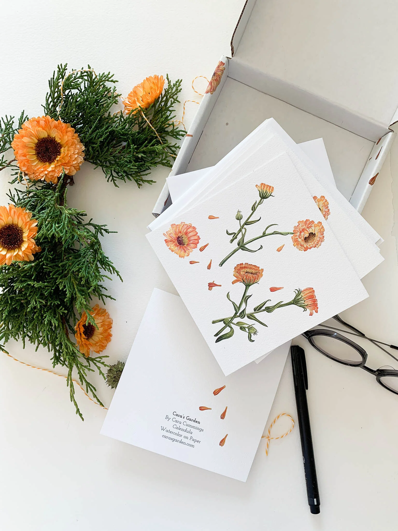 Calendula-3.jpg