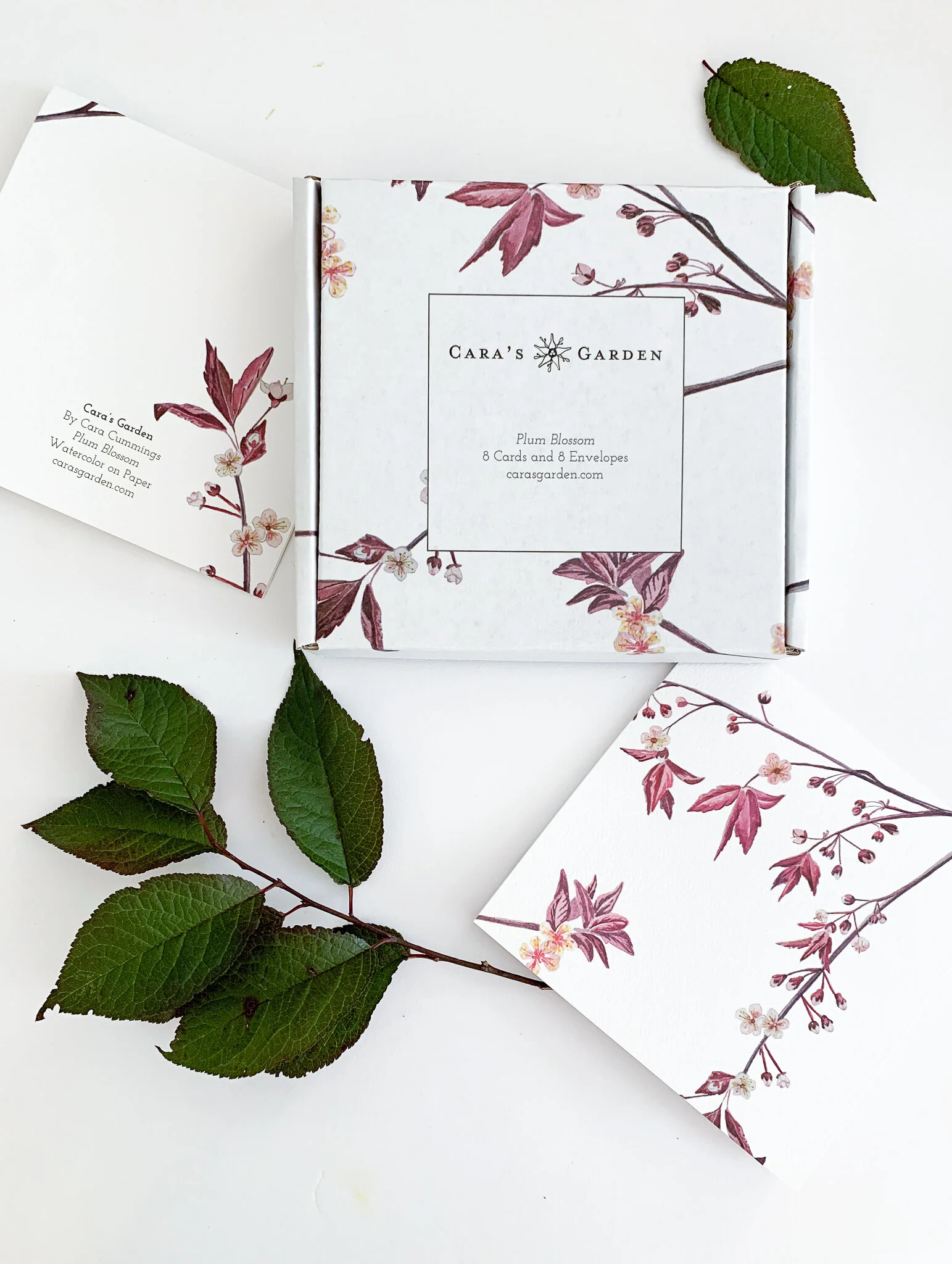 Notecard_plum_blossom.jpg