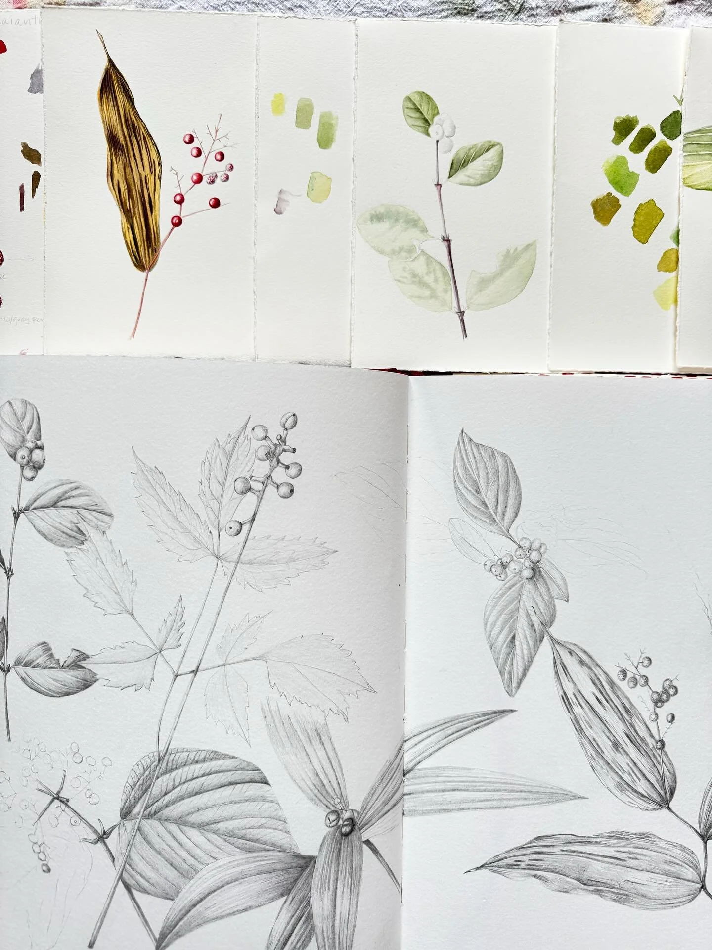 My first week as an artist in residence through @mackinac_parks on Mackinac Island was all about getting a feel for this beautiful place at a time of year when things have started to slow down a bit.&nbsp;

I have been biking and hiking and wandering