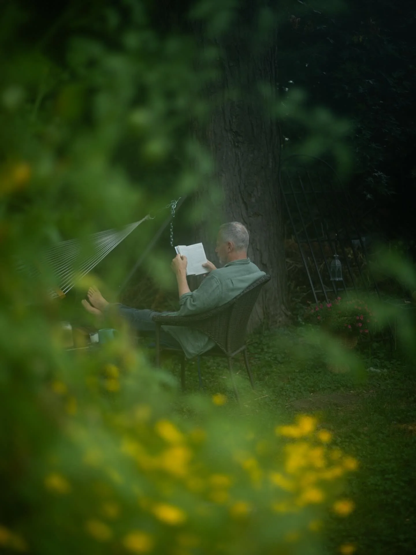 August mornings in the garden. 

Yesterday I wrote about how the act of enjoying the garden is the art right now. Link in bio to read more.