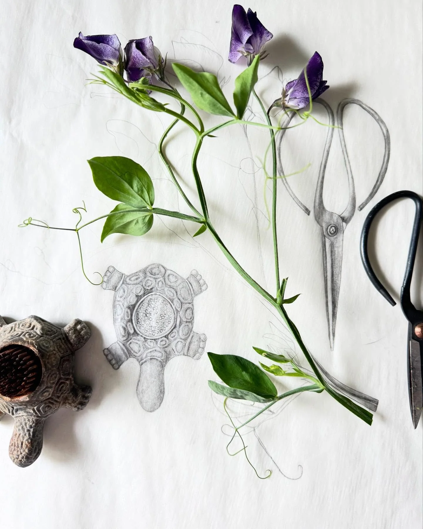 Things from around the studio this afternoon.