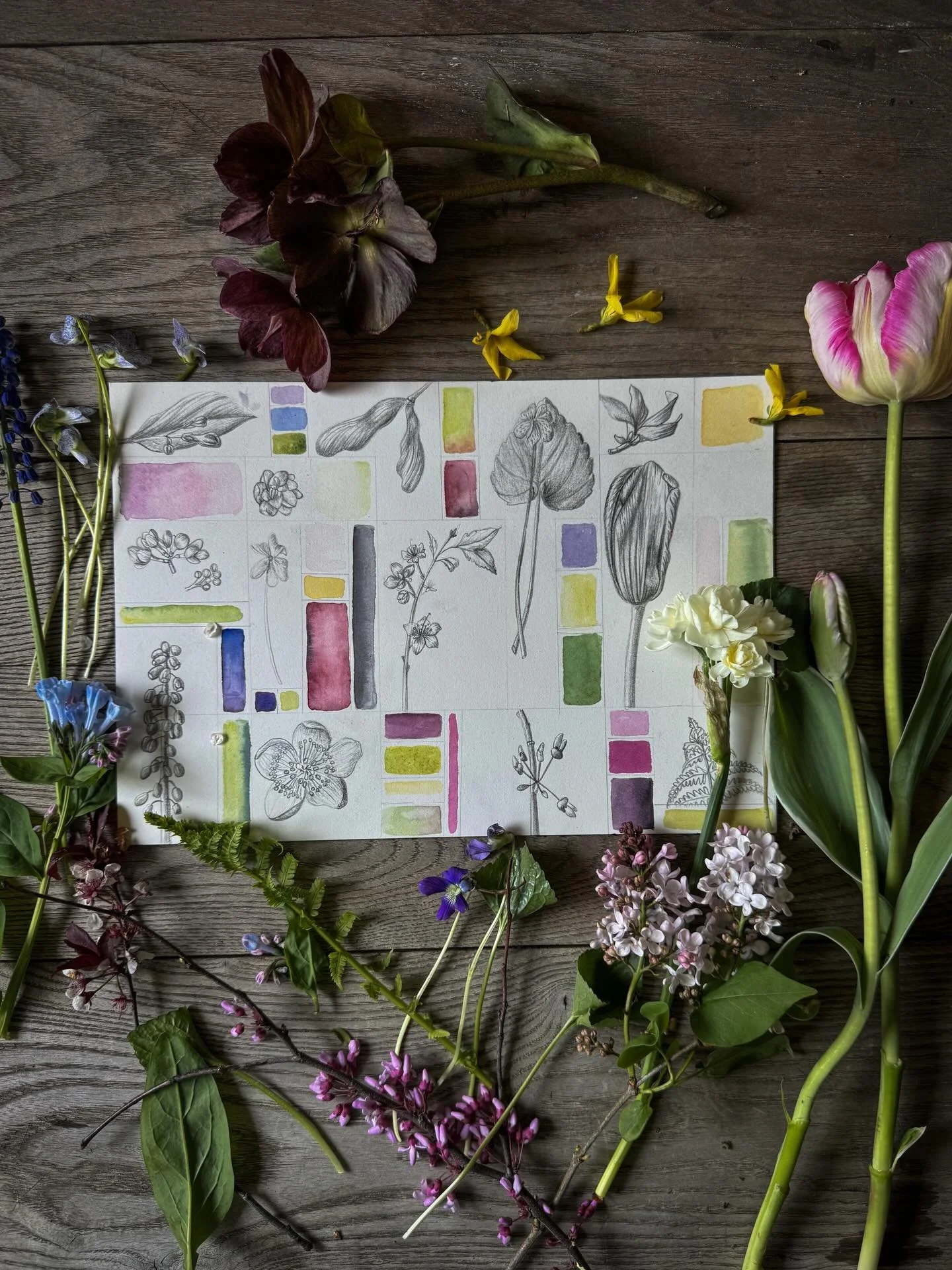 Getting back into practice with one of my favorite exercises. (Almost) Daily sketching, but make it tiny. This is a pretty good (not complete) representation of the flowers and colors in my late April garden. 

I highly recommend it if you are prone 