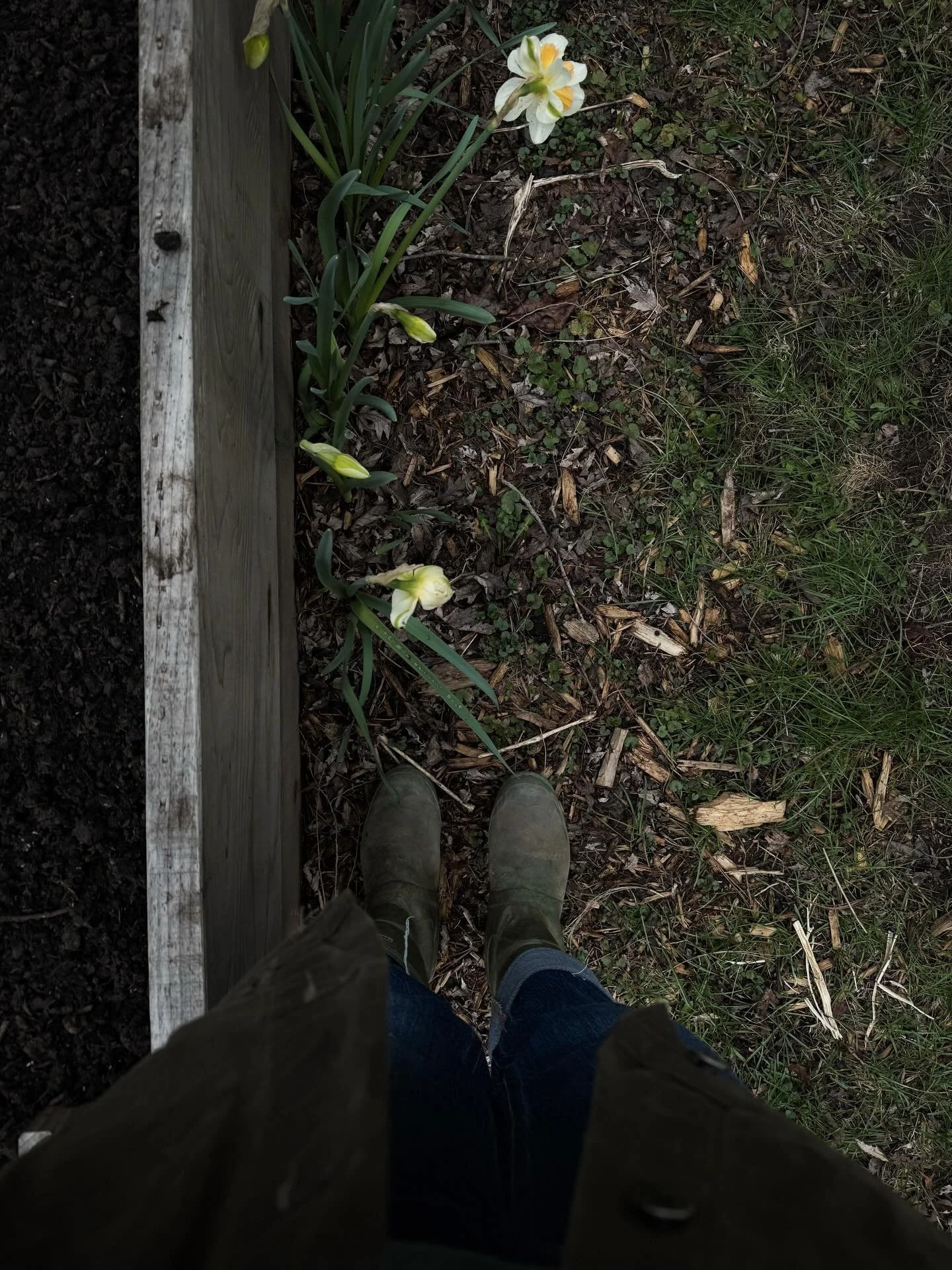 There is nothing better than getting back out into the garden after a long, long winter.