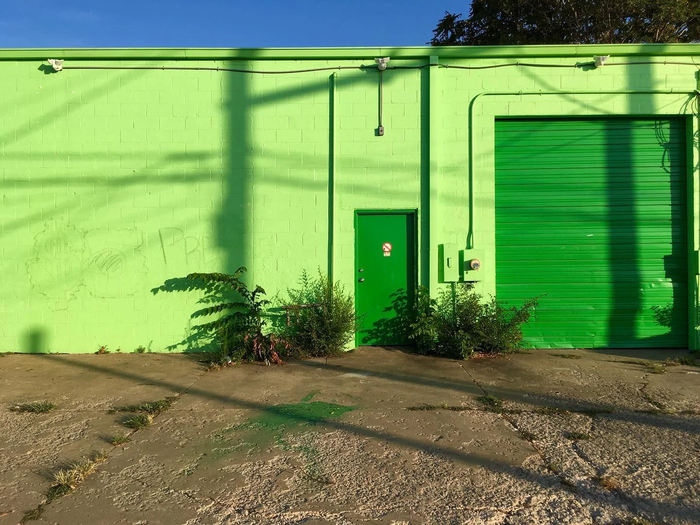 Green on green in Norman, OK.