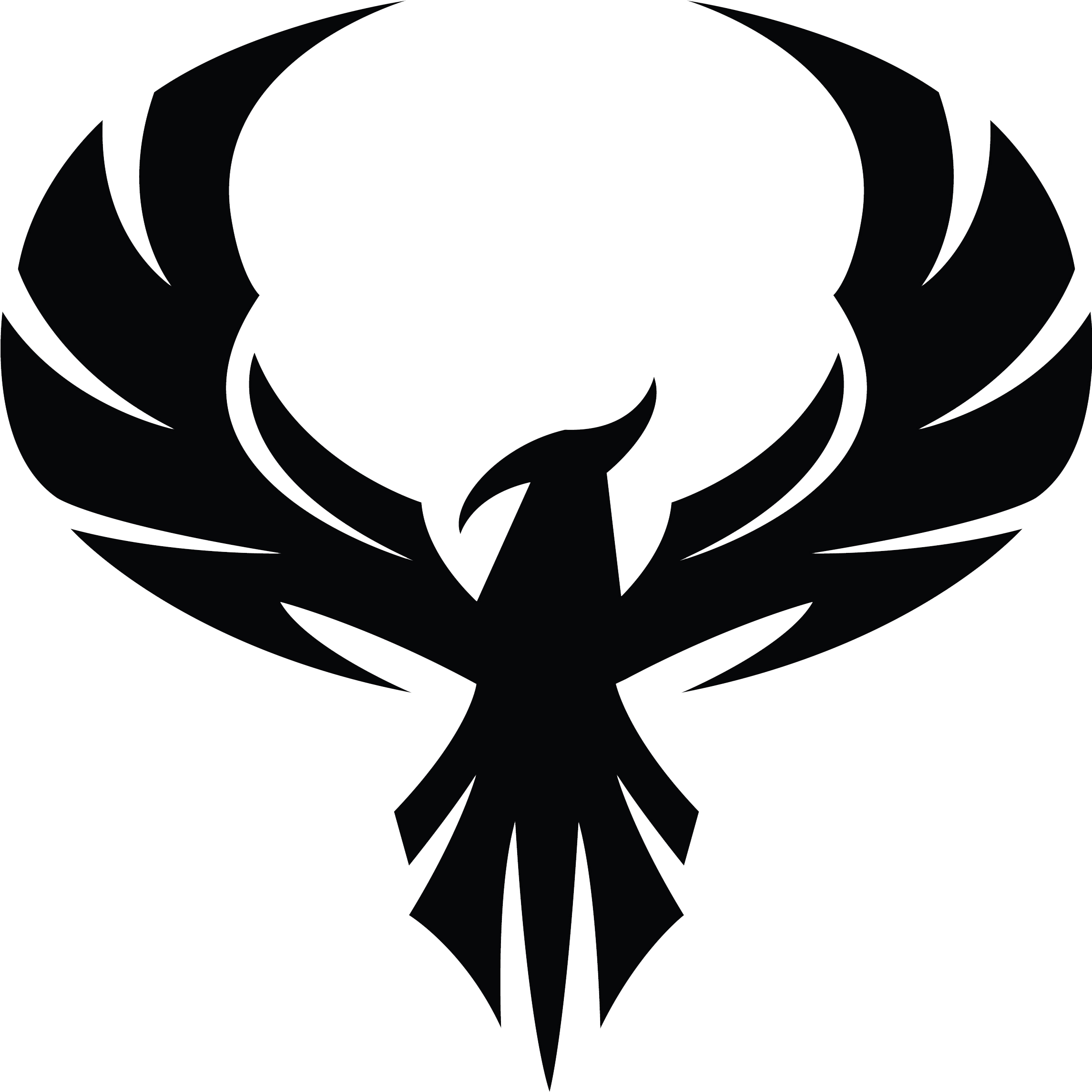 About — The Phoenix Loop