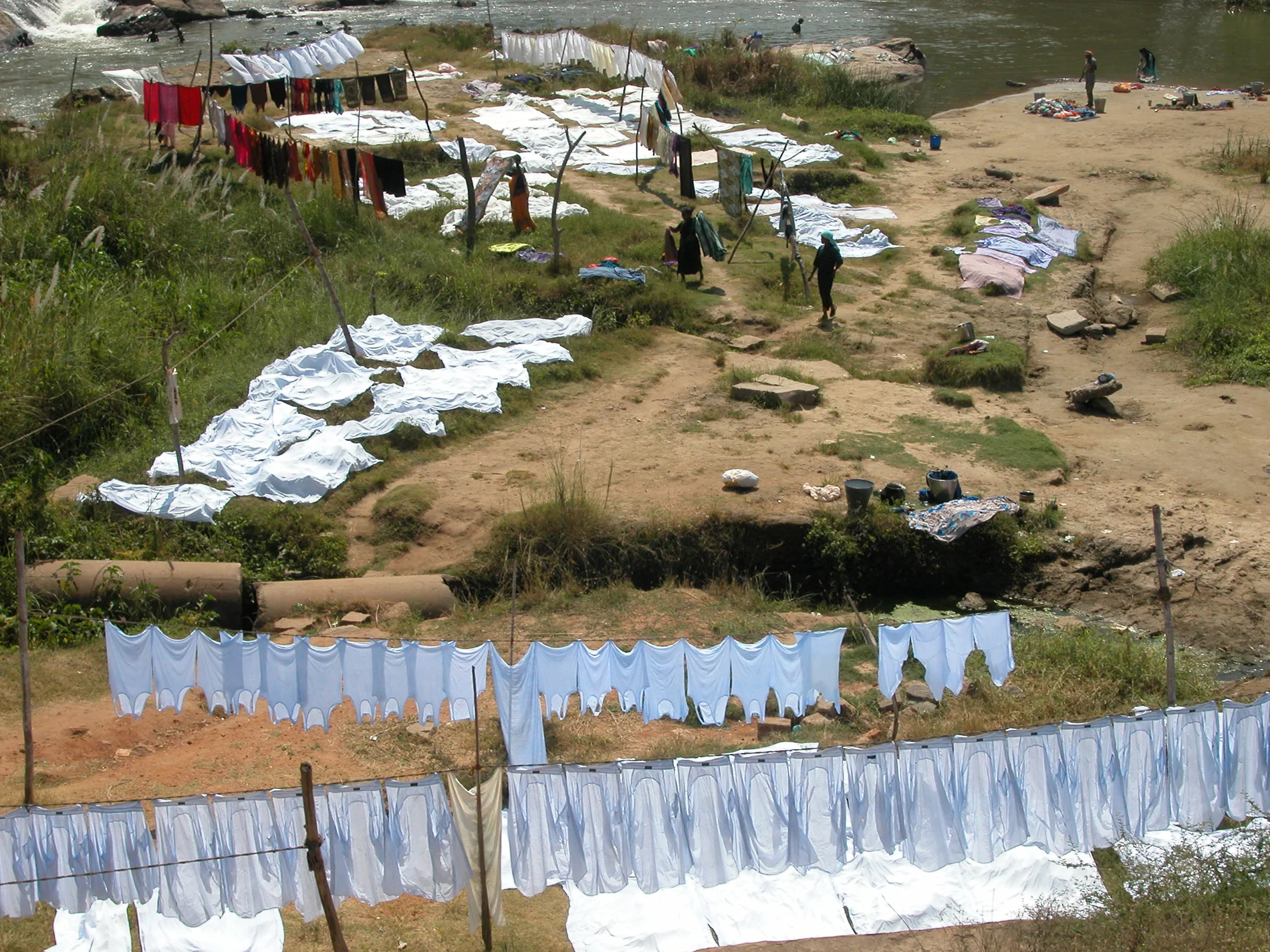 Landscape, South India (2009)
