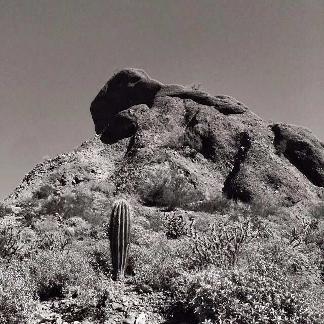  photos ©Steve Stober from the Arizona desert