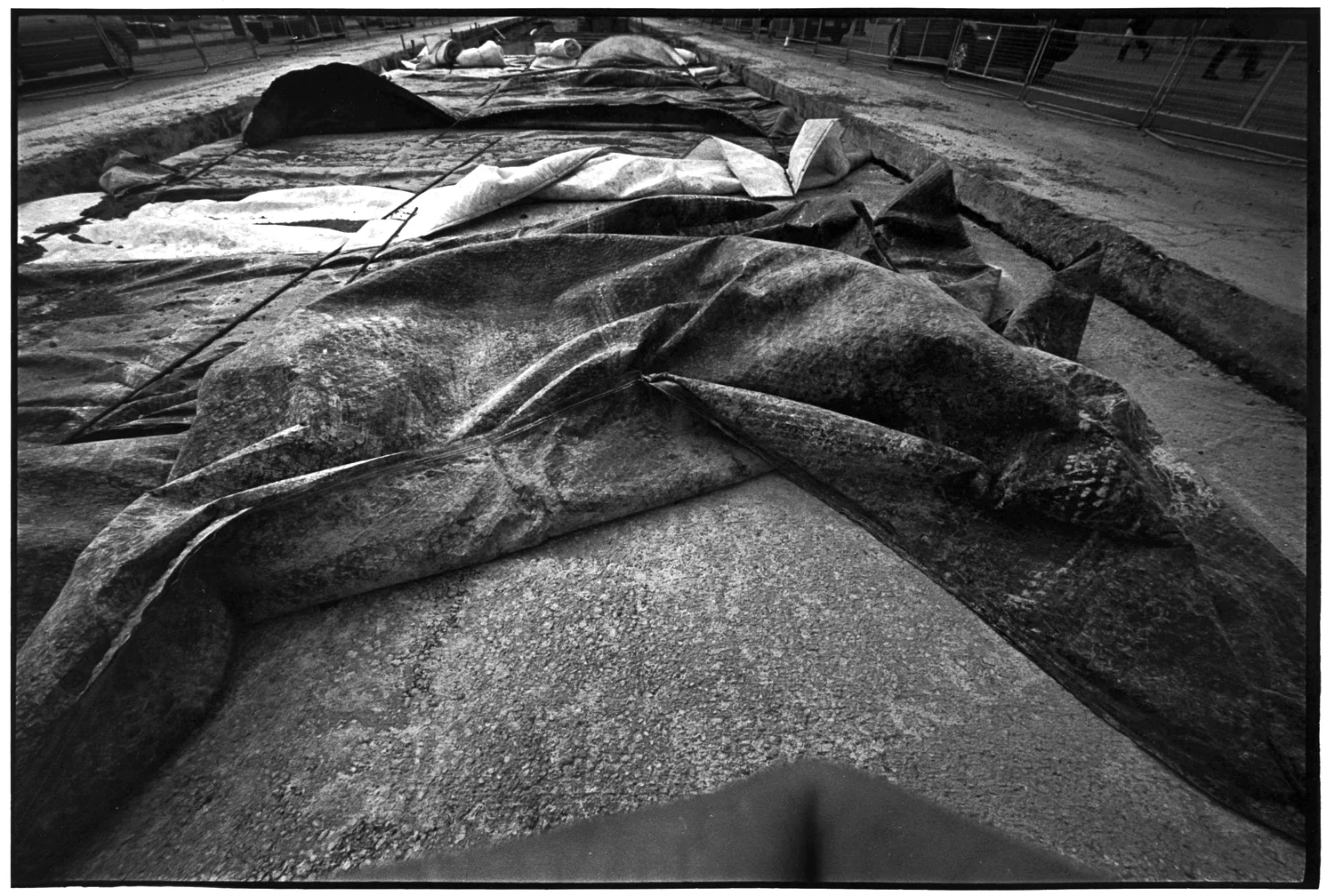 Bodybags, Toronto (2015)