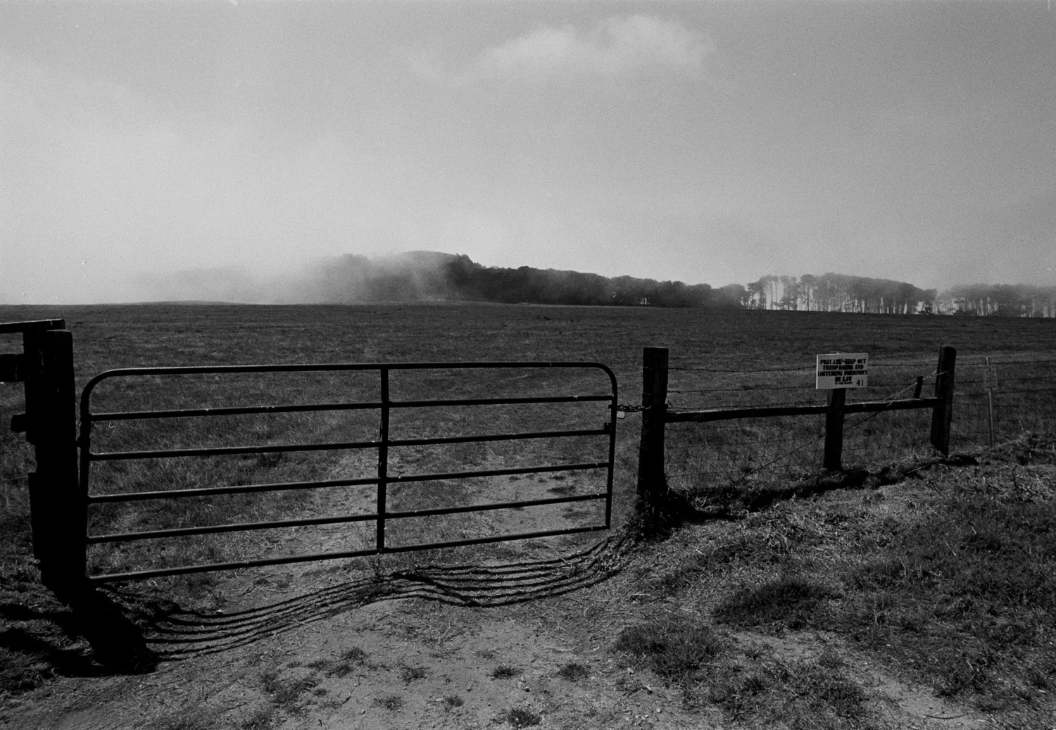 California Landscape, (2008)