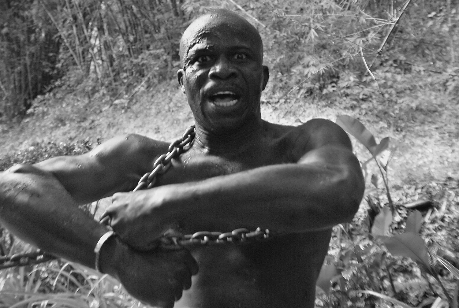 Amara, Tobago (2006)