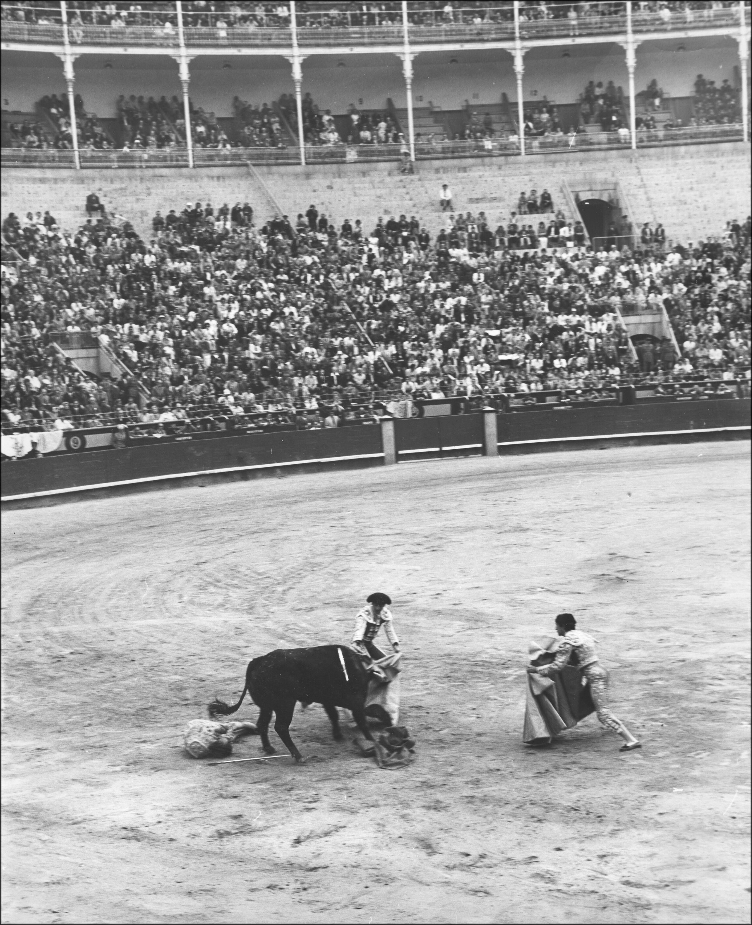 Bullfight, Barcelona, 1972
