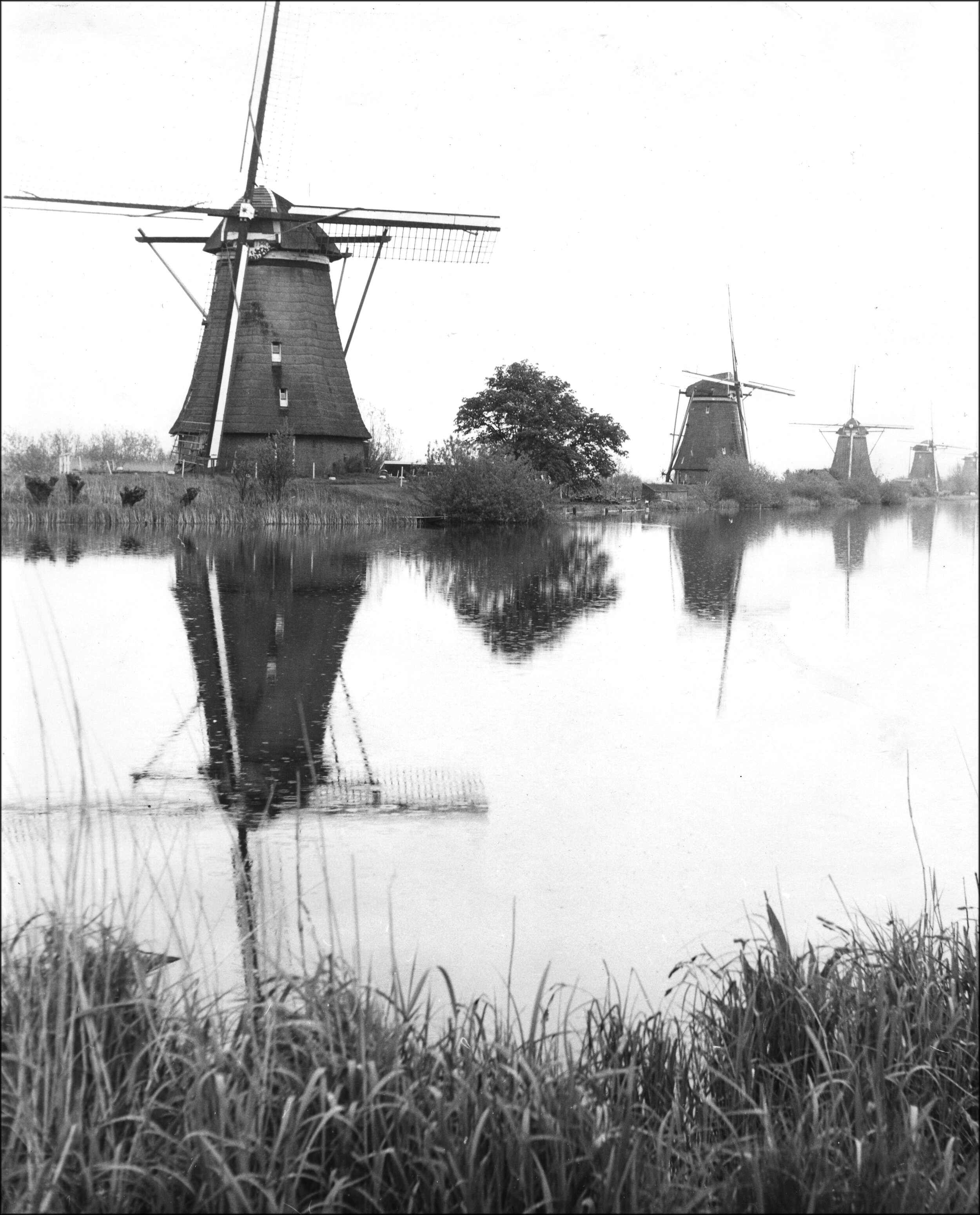 Windmills, Rotterdam, 1972