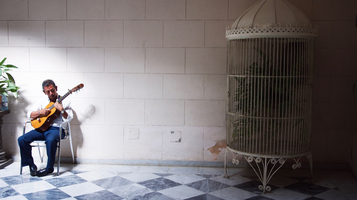 Musician, Havana, 2008