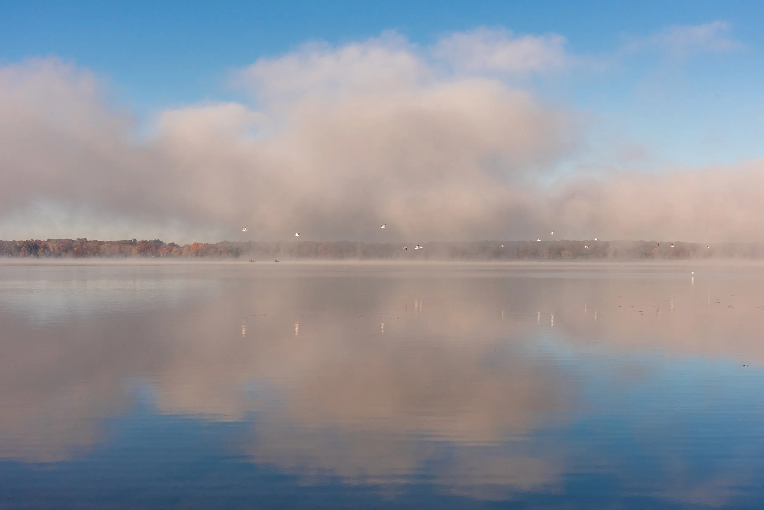_DSC8142.jpg