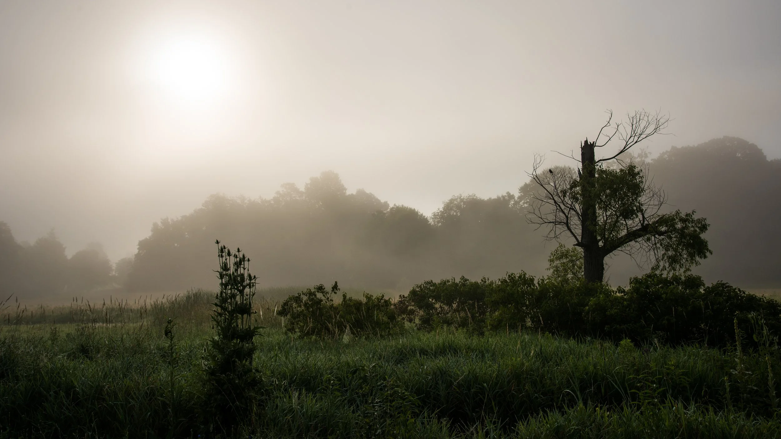 _DSC9965.jpg