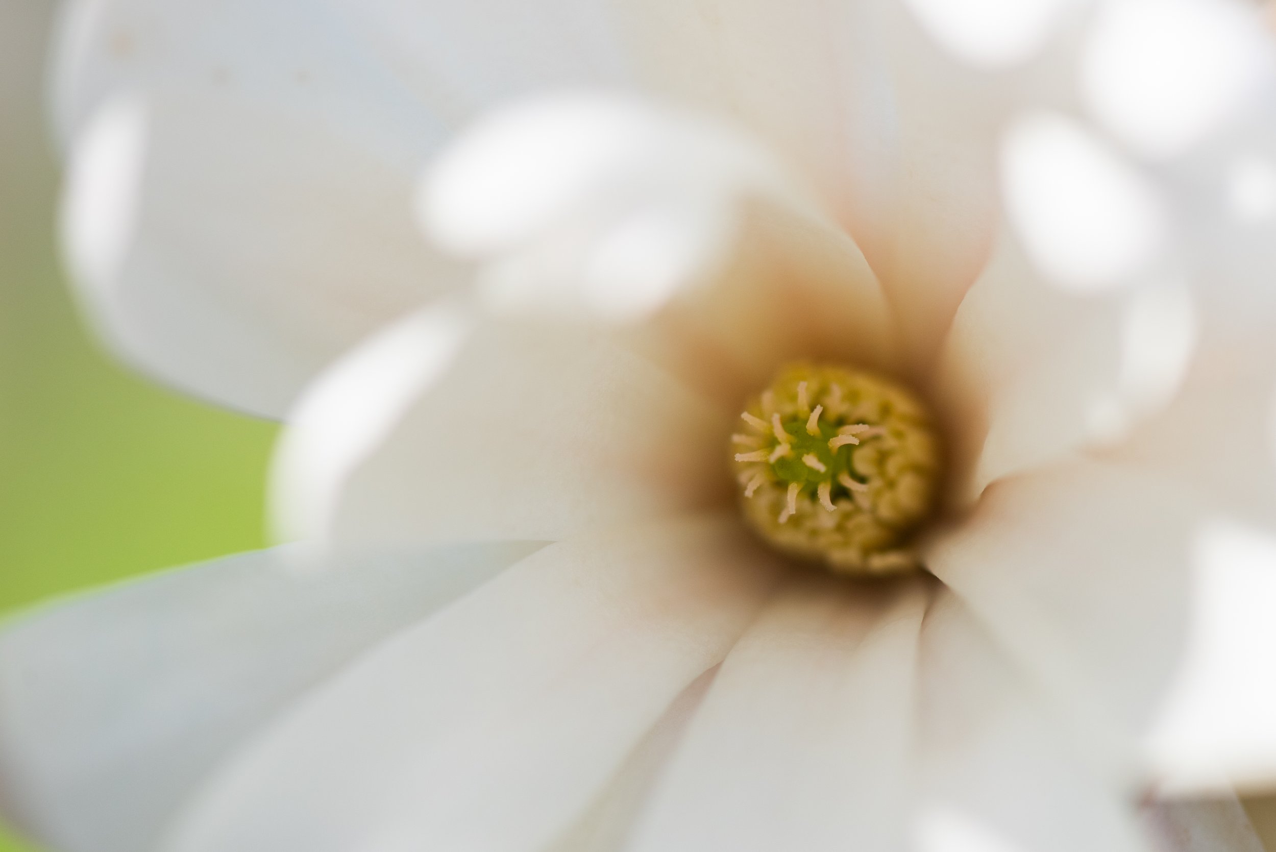 _DSC9024.jpg