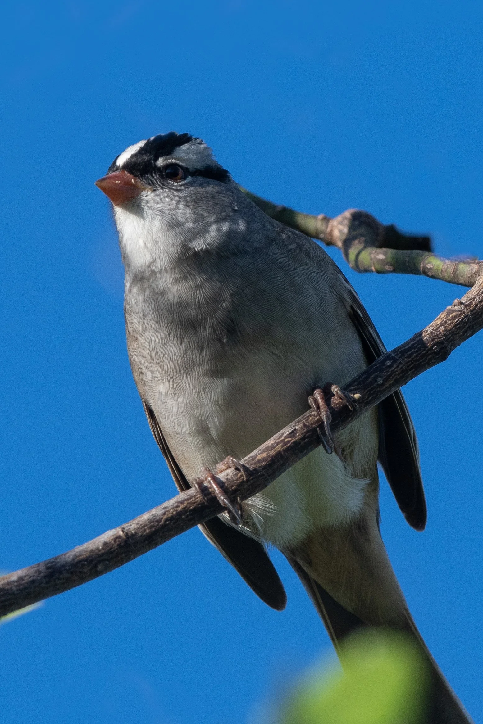 DSC_4947.jpg