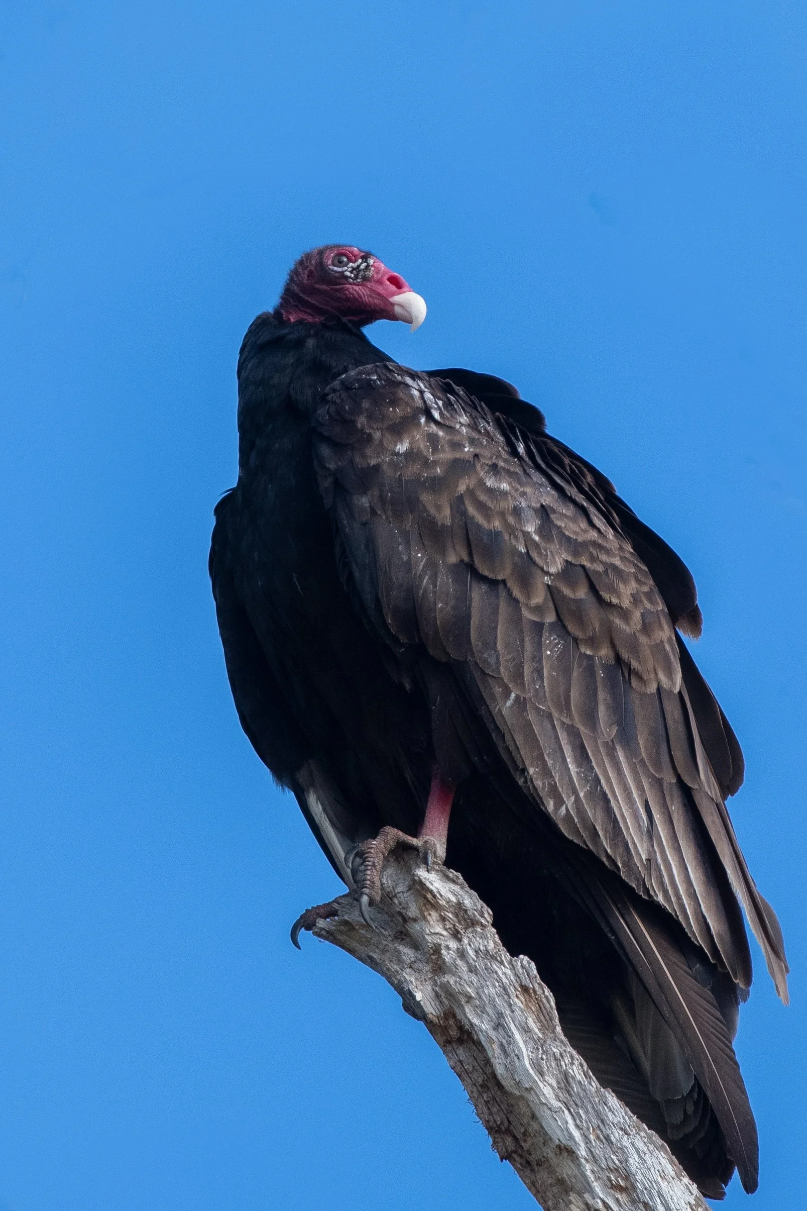 DSC_5625.jpg