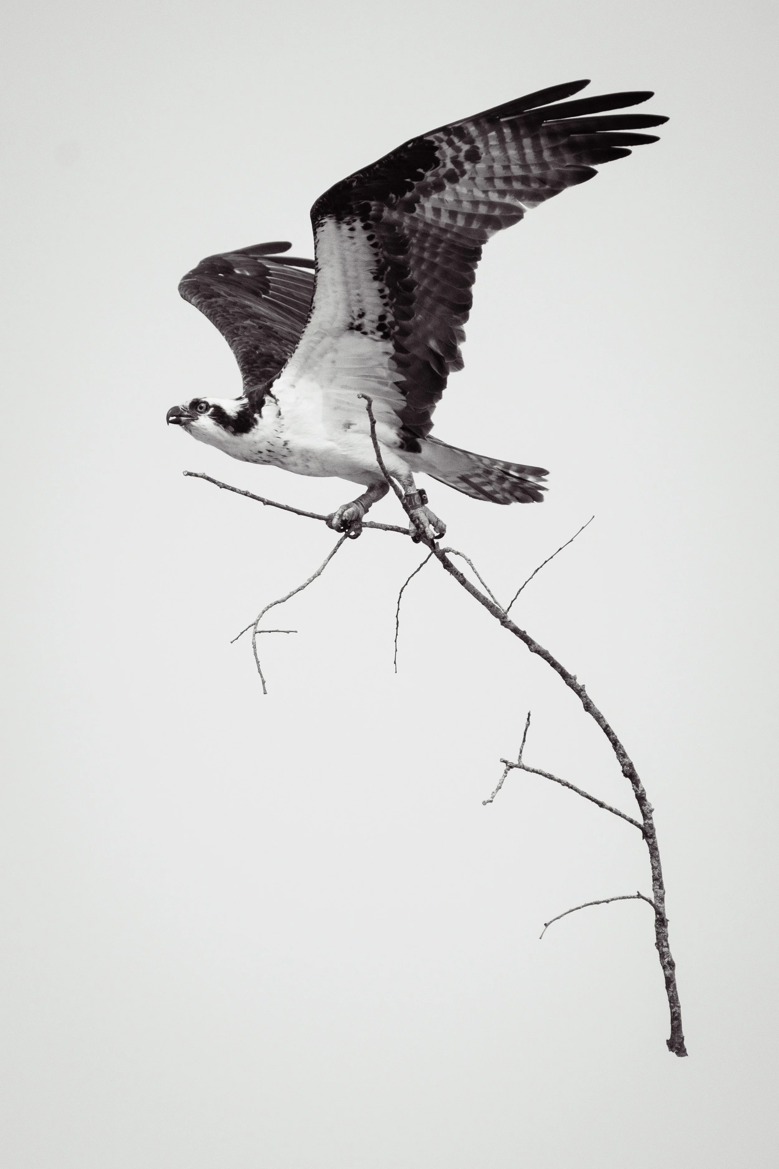 D85_9903.jpg